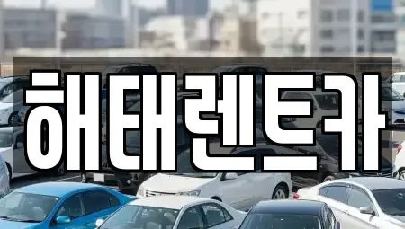전라남도 영광군 홍농읍 렌트카 전문 해태렌트카