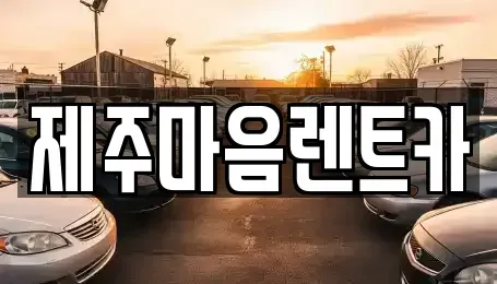 제주특별자치도 제주시 장기렌트카 전문 제주마음렌트카