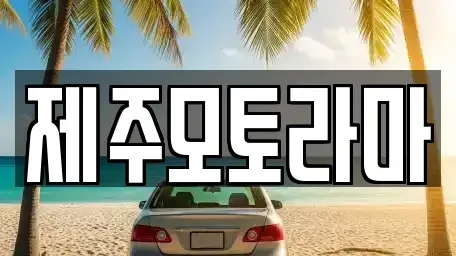 제주특별자치도 제주시 중고차 전문 제주모토라마