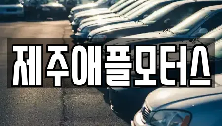 제주특별자치도 제주시 중고차 전문 제주애플모터스