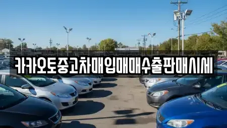 충남 부여군 옥산면 중고차 전문 카카오토중고차매입매매수출판매시세