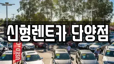 충청북도 단양군 영춘면 렌트카 전문 신형렌트카 단양점