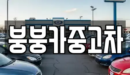 충청북도 단양군 영춘면 중고차 전문 붕붕카중고차