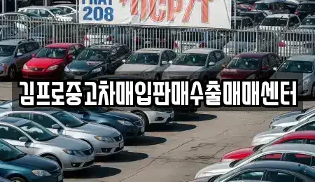 충청북도 단양군 영춘면 중고차매입 전문 김프로중고차매입판매수출매매센터