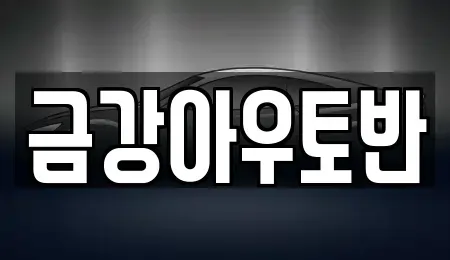 충청북도 영동군 중고차 전문 금강아우토반