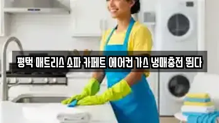 평택 매트리스 소파 카페트 에어컨 가스 냉매충전 뛴다